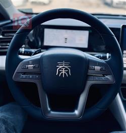 بی وای دی کوێن L DM-i